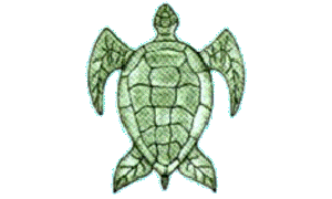 Green Turtle Club Webcam